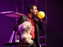 ventriloque-sur-scene