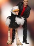 yoan-ventriloque-photo-spectacle-2